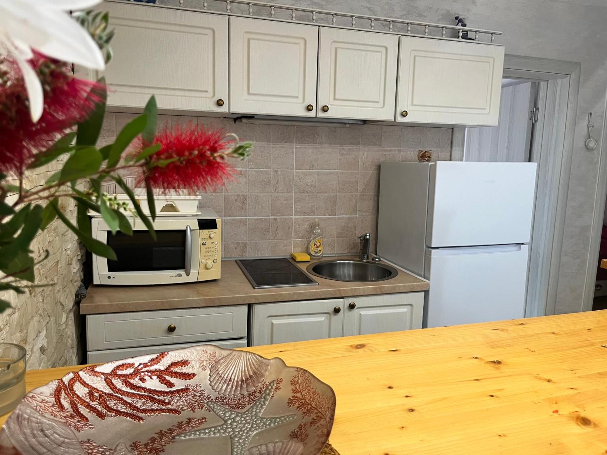 Appartement Obradovic *